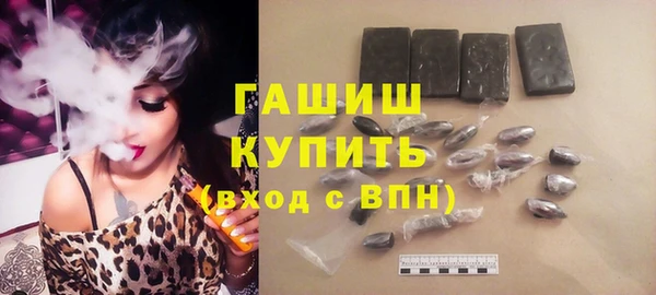 твердый Гусев