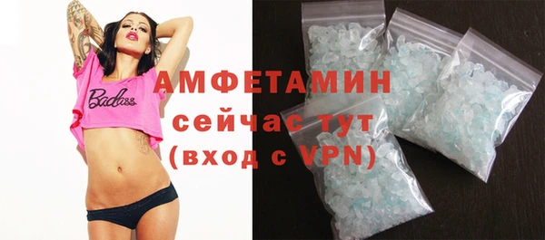 твердый Гусев
