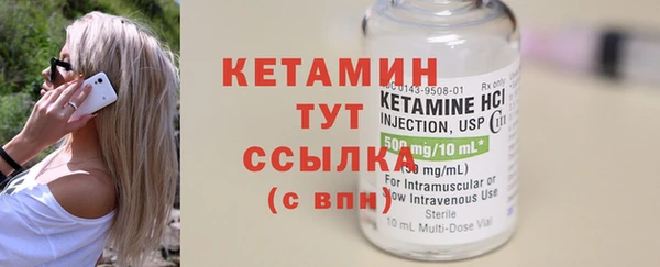 твердый Гусев