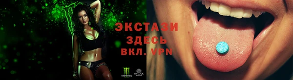 твердый Гусев