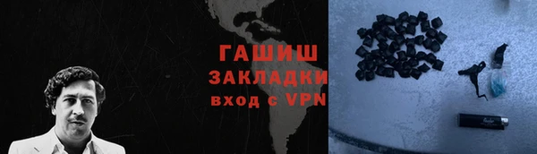 твердый Гусев