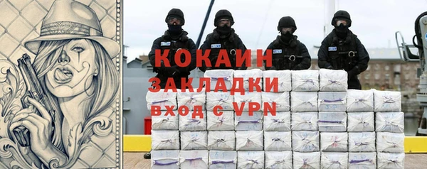 твердый Гусев