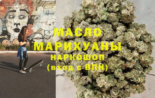 твердый Гусев