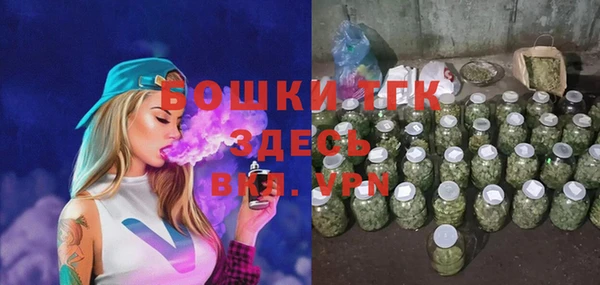 твердый Гусев