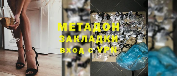 твердый Гусев