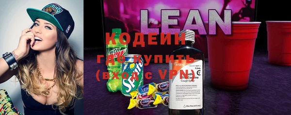 твердый Гусев