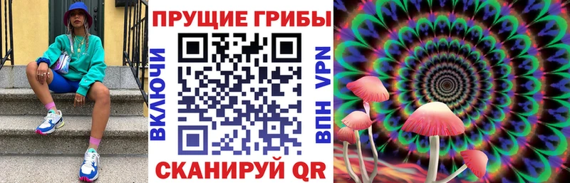 дарнет шоп  Кудымкар  Галлюциногенные грибы MAGIC MUSHROOMS 