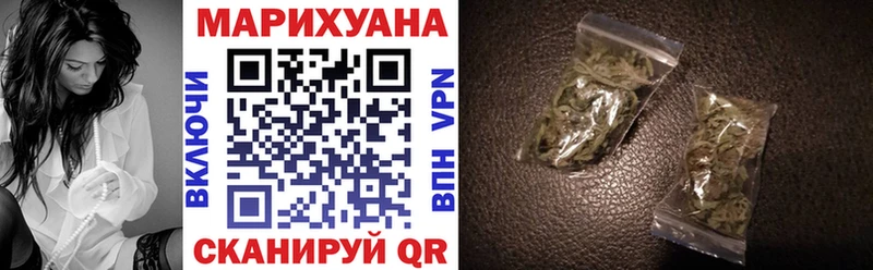 Конопля сатива  Кудымкар 